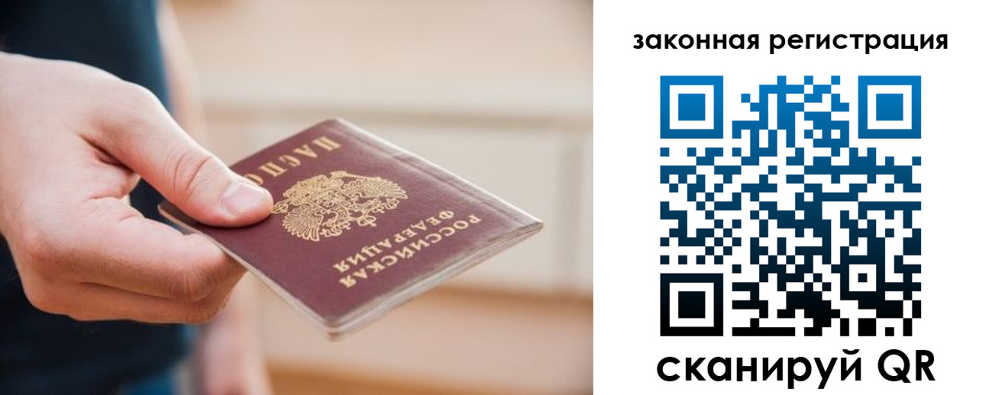 прописка в Купино